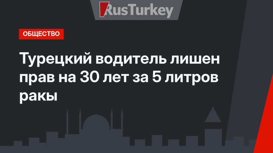 Турецкий водитель лишен прав на 30 лет за 5 литров ракы