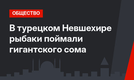 В турецком Невшехире рыбаки поймали гигантского сома