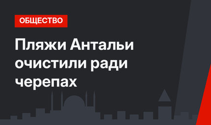 Пляжи Антальи очистили ради черепах