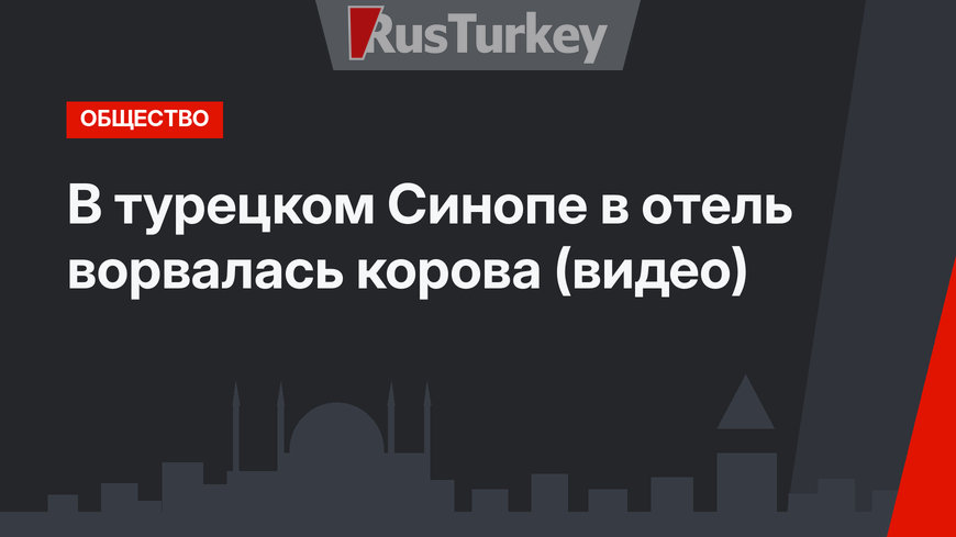 В турецком Синопе в отель ворвалась корова (видео)