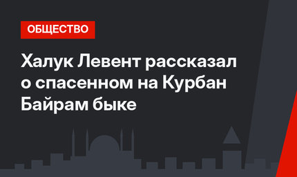 Халук Левент рассказал о спасенном на Курбан Байрам быке