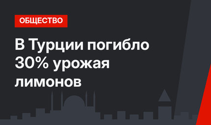 В Турции погибло 30% урожая лимонов