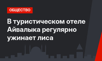 В туристическом отеле Айвалыка регулярно ужинает лиса