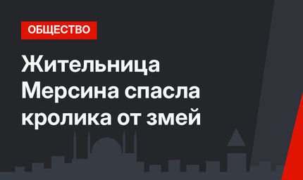 Жительница Мерсина спасла кролика от змей