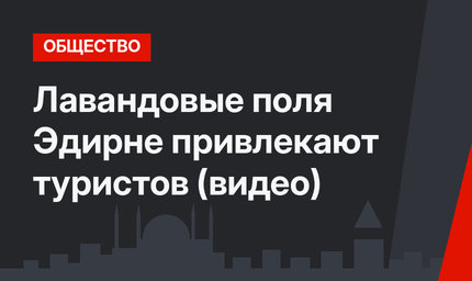 Лавандовые поля Эдирне привлекают туристов (видео)