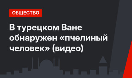 В турецком Ване обнаружен «пчелиный человек» (видео)