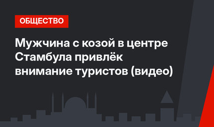 Мужчина с козой в центре Стамбула привлёк внимание туристов (видео)
