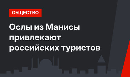 Ослы из Манисы привлекают российских туристов