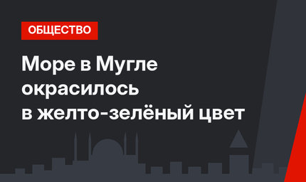 Море в Мугле окрасилось в желто-зелёный цвет