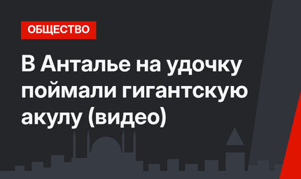 В Анталье на удочку поймали гигантскую акулу (видео)