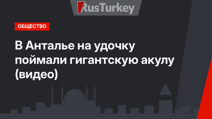 В Анталье на удочку поймали гигантскую акулу (видео)