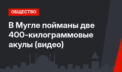 В Мугле пойманы две 400-килограммовые акулы (видео)