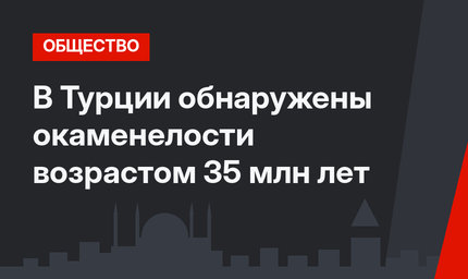 В Турции обнаружены окаменелости возрастом 35 млн лет