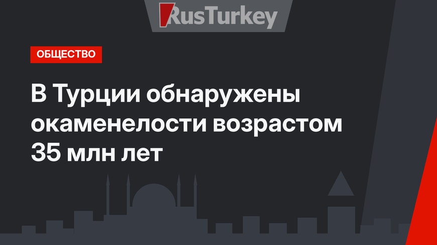 В Турции обнаружены окаменелости возрастом 35 млн лет