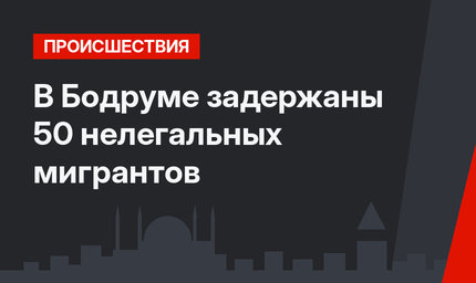 В Бодруме задержаны 50 нелегальных мигрантов