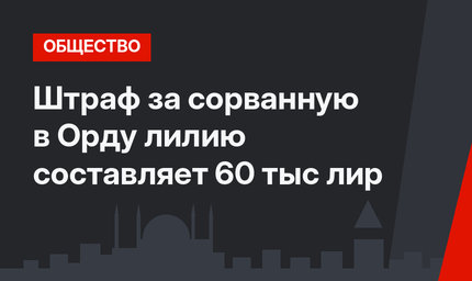 Штраф за сорванную в Орду лилию составляет 60 тыс лир