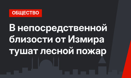В непосредственной близости от Измира тушат лесной пожар