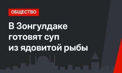 В Зонгулдаке готовят суп из ядовитой рыбы