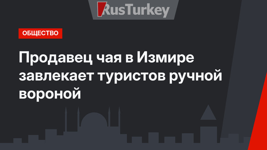  Продавец чая в Измире завлекает туристов ручной вороной