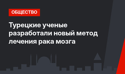 Турецкие ученые разработали новый метод лечения рака мозга