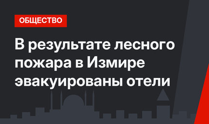 В результате лесного пожара в Измире эвакуированы отели