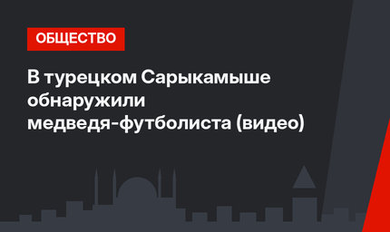 В турецком Сарыкамыше обнаружили медведя-футболиста (видео)