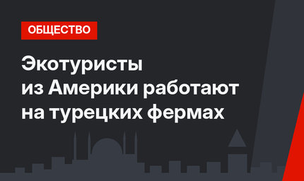 Экотуристы из Америки работают на турецких фермах
