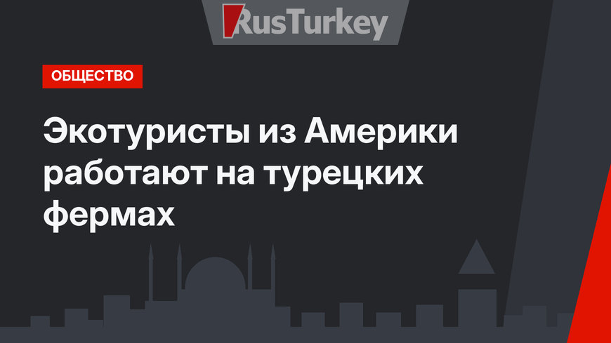 Экотуристы из Америки работают на турецких фермах