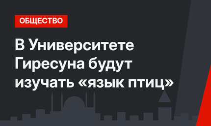 В Университете Гиресуна будут изучать «язык птиц»