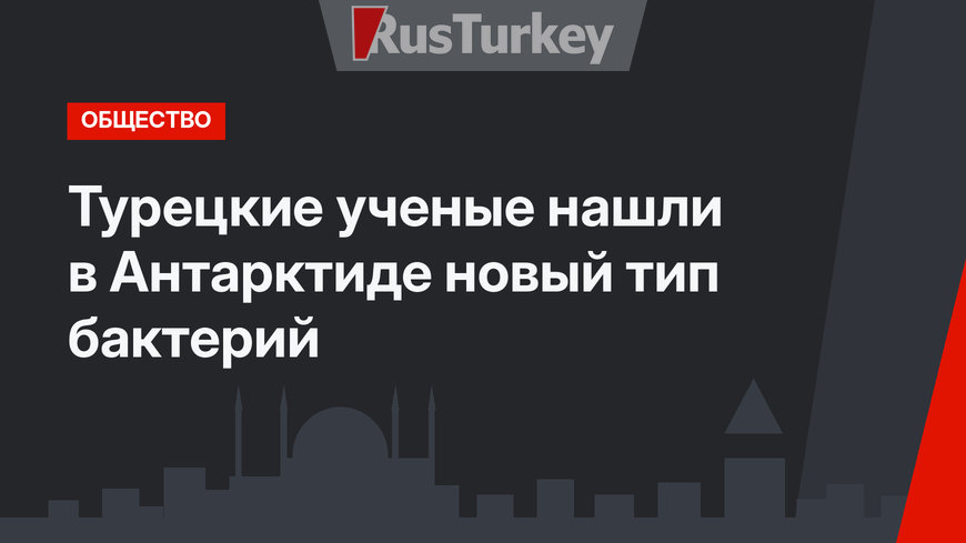 Турецкие ученые нашли в Антарктиде новый тип бактерий