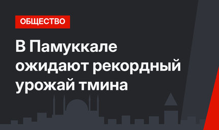В Памуккале ожидают рекордный урожай тмина
