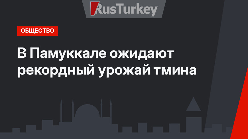 В Памуккале ожидают рекордный урожай тмина