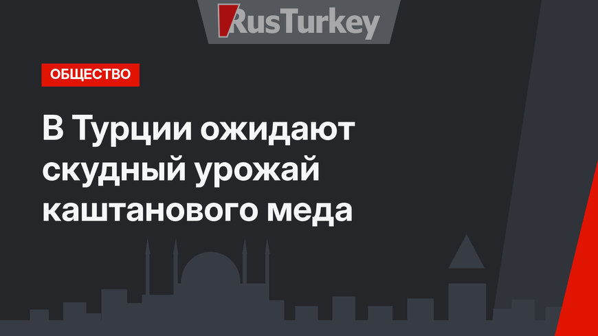  В Турции ожидают скудный урожай каштанового меда