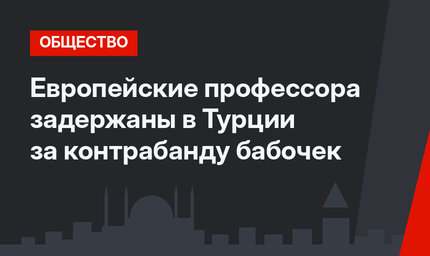 Европейские профессора задержаны в Турции за контрабанду бабочек