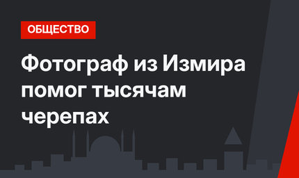 Фотограф из Измира помог тысячам черепах