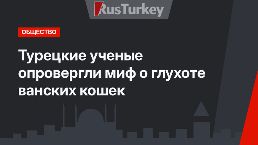 Турецкие ученые опровергли миф о глухоте ванских кошек 