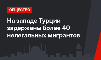 На западе Турции задержаны более 40 нелегальных мигрантов