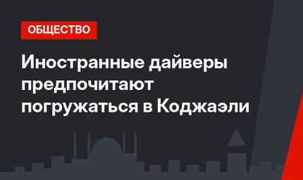 Иностранные дайверы предпочитают погружаться в Коджаэли