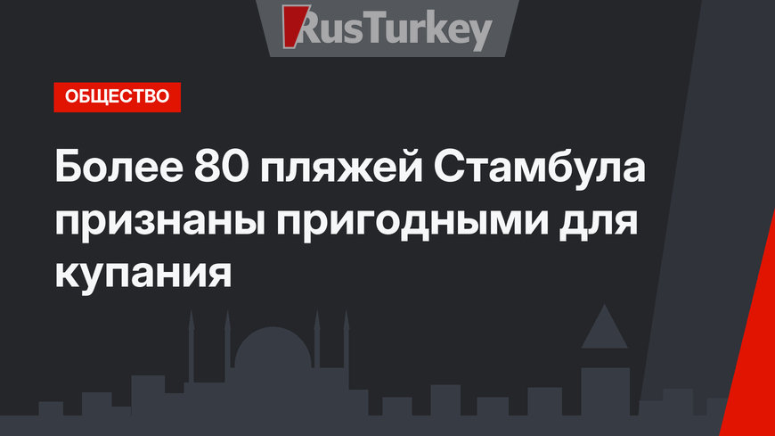 Более 80 пляжей Стамбула признаны пригодными для купания