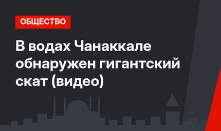 В водах Чанаккале обнаружен гигантский скат (видео)