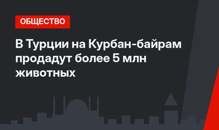 В Турции на Курбан-байрам продадут более 5 млн животных