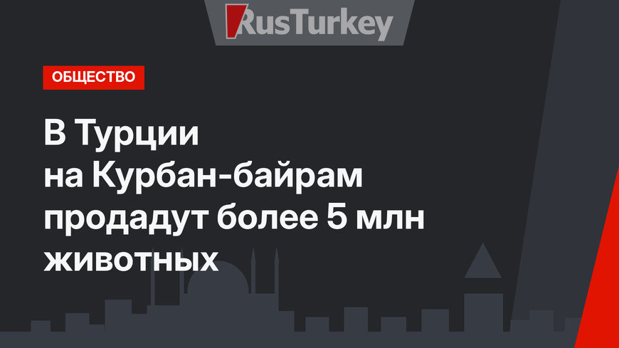В Турции на Курбан-байрам продадут более 5 млн животных
