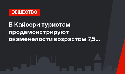 В Кайсери туристам продемонстрируют окаменелости возрастом 7,5 млн лет