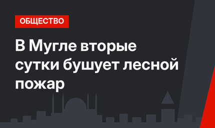 В Мугле вторые сутки бушует лесной пожар