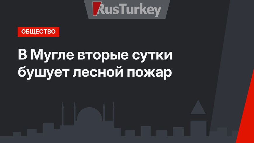 В Мугле вторые сутки бушует лесной пожар