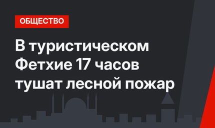 В туристическом Фетхие 17 часов тушат лесной пожар
