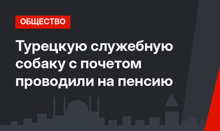 Турецкую служебную собаку с почетом проводили на пенсию
