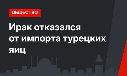 Ирак отказался от импорта турецких яиц