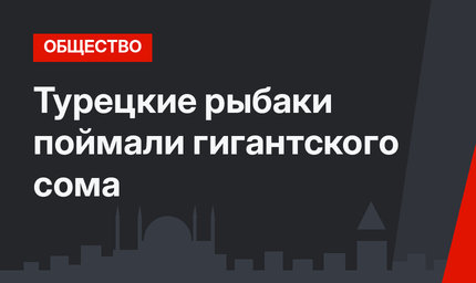 Турецкие рыбаки поймали гигантского сома