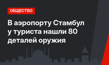 В аэропорту Стамбул у туриста нашли 80 деталей оружия